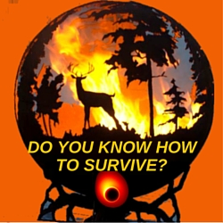 Do You Know How To Survive With Solar